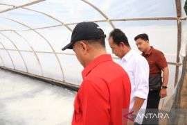 Pemprov Kalbar dorong Sebubus Sambas jadi sentra garam