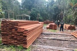Kemenhut ungkap dugaan pembalakan liar di SM Kerumutan Riau