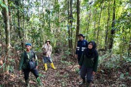 FOKUS apresiasi keseriusan Agincourt Resources lestarikan Biodiversitas Batang Toru