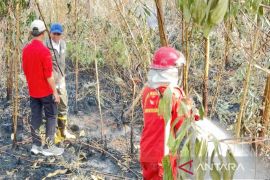 Indonesia steps up peatland wetting to fight South Kalimantan fires