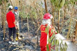 Menhut pastikan pembasahan lahan gambut di Kalsel terus dilakukan