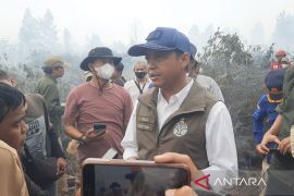 Ministry to deploy 1,000 rangers to extinguish Kalimantan wildfires