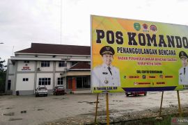 BPBD Tapin hadapi keterbatasan personel tangani karhutla