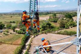 PLN rawat jaringan transmisi hingga pelosok Pulau Sumbawa