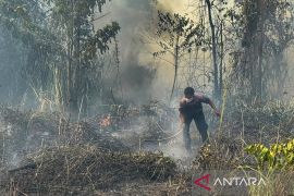 Polri tetapkan 72 tersangka kasus karhutla di sembilan Polda