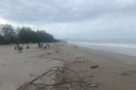 Pemkab Pasaman Barat dorong pokdarwis berikan pelayanan terbaik bagi wisatawan
