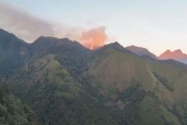 UPT Tahura Raden Soerjo lanjutkan pemadaman usai muncul titik api baru