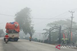 Pakar tegaskan aktivitas manusia jadi penyebab utama karhutla