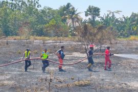 Kebakaran lahan sekitar Bandara Frans Kaisepo Biak telah padam