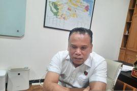 Delapan orang jadi tersangka karhutla di Jambi sepanjang 2026