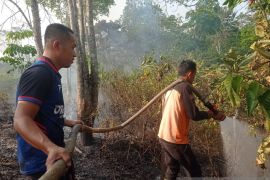 BPBD padamkan karhutla di lima lokasi Kabupaten Ogan Komering Ulu