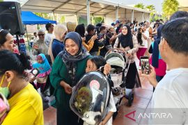 Cat Lovers Day sukses hadirkan keceriaan di Summarecon Crown Gading