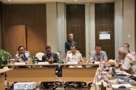 Industri hotel mulai perkuat pariwisata hijau, efisiensi jadi strategi bisnis