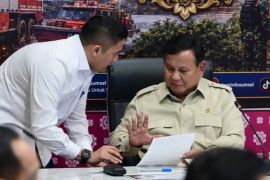 Presiden Prabowo dorong "ubi bombing" untuk atasi karhutla