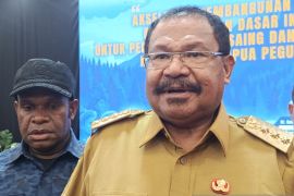 Pemprov Papua Pegunungan perkuat sinkronisasi pembangunan pusat dan daerah