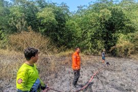 BPBD Tasikmalaya mewaspadai bahaya karhutla saat kemarau