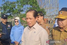 Wamenko Pangan: Ribuan personel atasi karhutla tiga wilayah di Kalsel