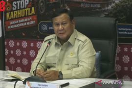 Presiden Prabowo dorong inovasi tepung singkong untuk padamkan karhutla
