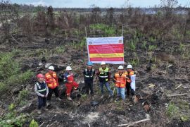 Kemenhut selidiki dugaan pidana di balik karhutla sejumlah wilayah