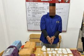 Polres Dumai gerebek persembunyian narkoba di perkebunan sawit, 2 kg sabu dan 4 kg ganja disita