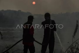 Pemadaman kebakaran lahan di Batang Hari