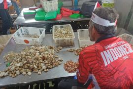544.939 pekerja di Kepri sudah terlindungi jamsostek