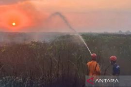 HST antisipasi melonjaknya kasus ISPA akibat karhutla