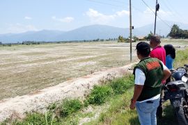 BPBD Parimo usul pengadaan sumur bor ke BNPB untuk atasi kekeringan