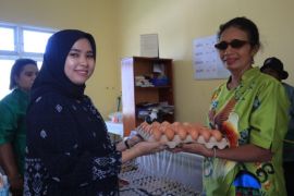 Pemkab Jayapura salurkan telur ayam lokal untuk penanganan stunting