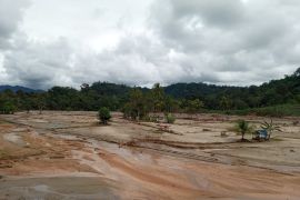 Banjir bandang hancurkan 50 hektare sawah di Anggoli, petani minta irigasi dipulihkan
