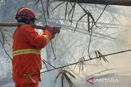 BKSDA Kaltim sebut kebakaran di cagar alam cepat teratasi