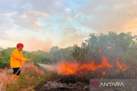 Kalsel kemarin dari batas desa hingga karhutla