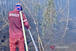 Dishut Kalsel kerahkan 150 personel cegah karhutla di hutan lindung