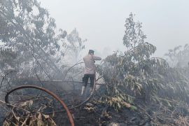 Joint team intensify efforts as 11 hotspots detected in Singkawang