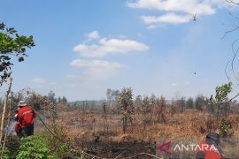 Satgas Darat dan Udara optimal tanggulangi karhutla di Kalsel