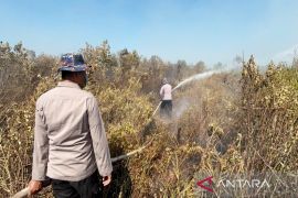 Ditpolairud Polda Kalsel tanggulangi karhutla di lahan pesisir Barito