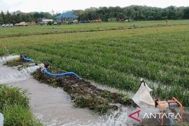 Pemkab Karawang salurkan puluhan pompa kepada petani untuk atasi kekeringan
