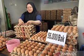 Tingginya permintaan dorong kenaikan harga telur di Gorontalo