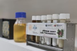 Paspi: Sawit potensial penuhi 60 persen minyak nabati dunia 2050
