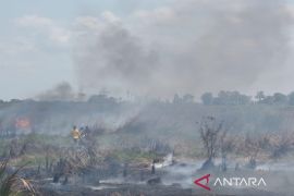 Upaya pemadaman karhutla di Tanah Bumbu terus ditingkatkan