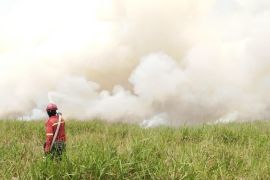 PT RHM terjunkan helikopter dan tujuh alat berat padamkan karhutla