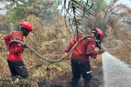 Satgas karhutla Riau apresiasi dukungan PT Arara Abadi tangani kebakaran di lahan masyarakat