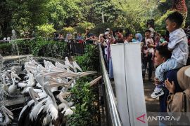 Gubernur DKI segera putuskan tarif baru tiket Ragunan