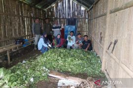 Olah Limbah Jadi Berkah, Inovasi Pupuk Kompos Dorong Kemandirian Ekonomi Kelompok Tani Sungai Tanang