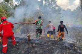 Tim gabungan Kabupaten Penajam tangani 14 karhutla dalam dua hari