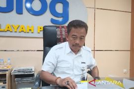 Bulog Papua kirim 100 ton jagung untuk pabrik pakan ternak di Jatim