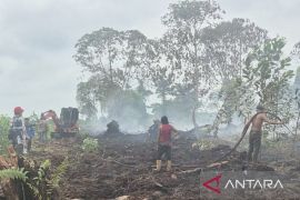 Jambi firefighters use firebreaks to contain peatland blaze