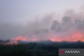 Petugas siapkan strategi pemadaman kebakaran di kawasan TNBS