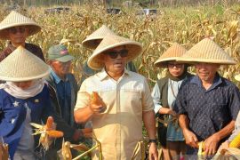 Pemprov Kepri pacu pemerataan investasi di seluruh kabupaten/kota