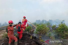 Manggala Agni optimalkan pemadaman karhutla di Muara Enim